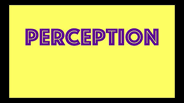 Perception | Definition | Factors | Process | Organisational Behaviour