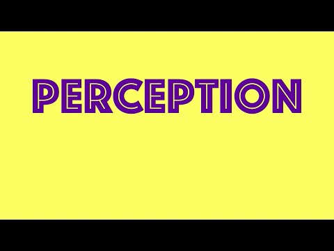 Perception | Definition | Factors | Process | Organisational Behaviour