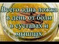 Всего одна ложка в день от боли в суставах и мышцах