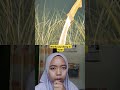 #facts #animals #faktaunik #faktamenarik #reaction #viral