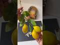 DIY Lemon 🍋 || Lemon Tree #diy #handmade #clayart #viral