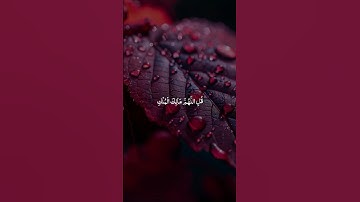 قل اللهم مالك الملك 👑 تؤتي الملك من تشاء 🙏🏻 سورة آل عمران 🌸 #القرآن_الكريم #العجمى #المصحف