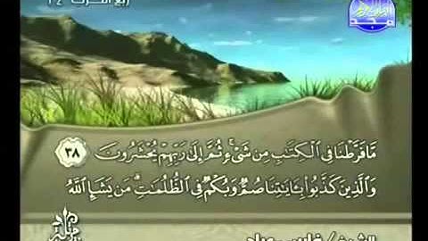 القرآن الكريم كاملا الجزء (7) بصوت الشيخ فارس عباد