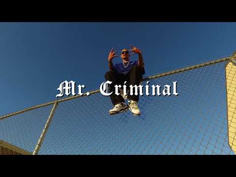 Mr.Criminal - Love It Or Hate It