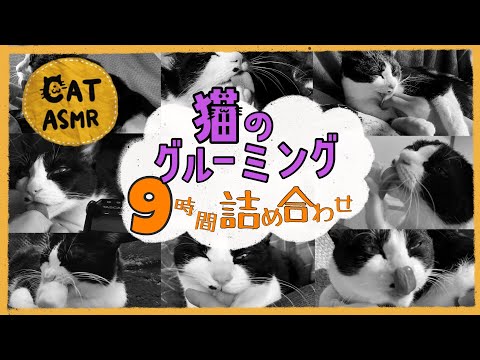 ?ASMR｜猫が９時間グルーミングする音｜高音質【睡眠導入】