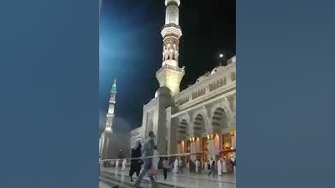 محمد خليل القارئ | خواتيم سورة الأنبياء | تسجيل من ساحة المسجد النبوي الشريف