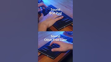 Sounds of the Seaboard is back