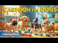 Dog Cartoon 🏖️🐶 Best Summer Dog TV for Dogs to Watch 📺 Anti Anxiety Entertainment for Dogs 🎨