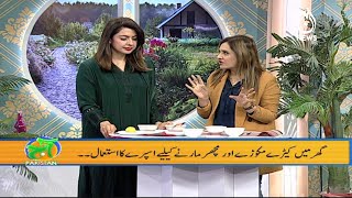 Ghar Mein Keeray Makoray Aur Machar Maarny Kayliye Spray Ka Istemaal | Aaj Pakistan With Sidra Iqbal