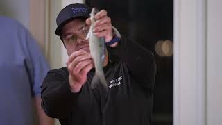 Wahoo Natural Bait Rigging Demonstration by Tyler Beckford of Teasers Bait Company.