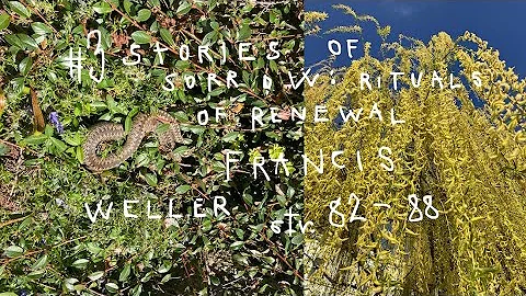 elja čte stories of sorrow: rituals of renewal francis weller #3