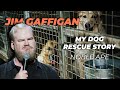 "I Rescued a Dog" - Jim Gaffigan Stand up (Noble Ape)