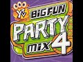 Various artists  ytv big fun party mix 4 full album 2003