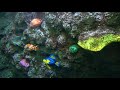 LEGOLAND JAPAN Submarine Adventure 4K レゴランド