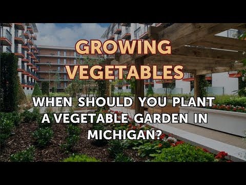 when-should-you-plant-a-vegetable-garden-in-michigan?