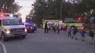 Bus VS Car PKG screenshot 1