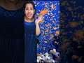 شفا خافت من سمك القرش Scary Shark Attack Short شفا خافت من سمك القرش Scary Shark Attack Short