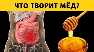 Что Произойдет с Вашим Телом, Если Есть Мед Каждый День. Мёд