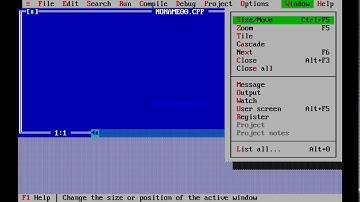 Moving Fish Using C In Graphics