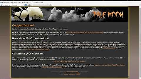 Palemoon 28.14.2 on Windows Vista with extended kernel