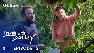 Travels with Darley | S11E12 | Saratoga, New York