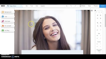 Usability Testing-Project 4