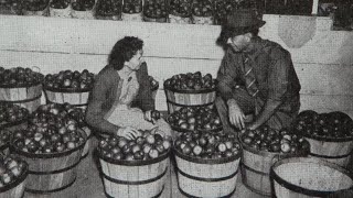 Kimmel Orchard and Vineyard celebrates a century of growth in Nebraska City