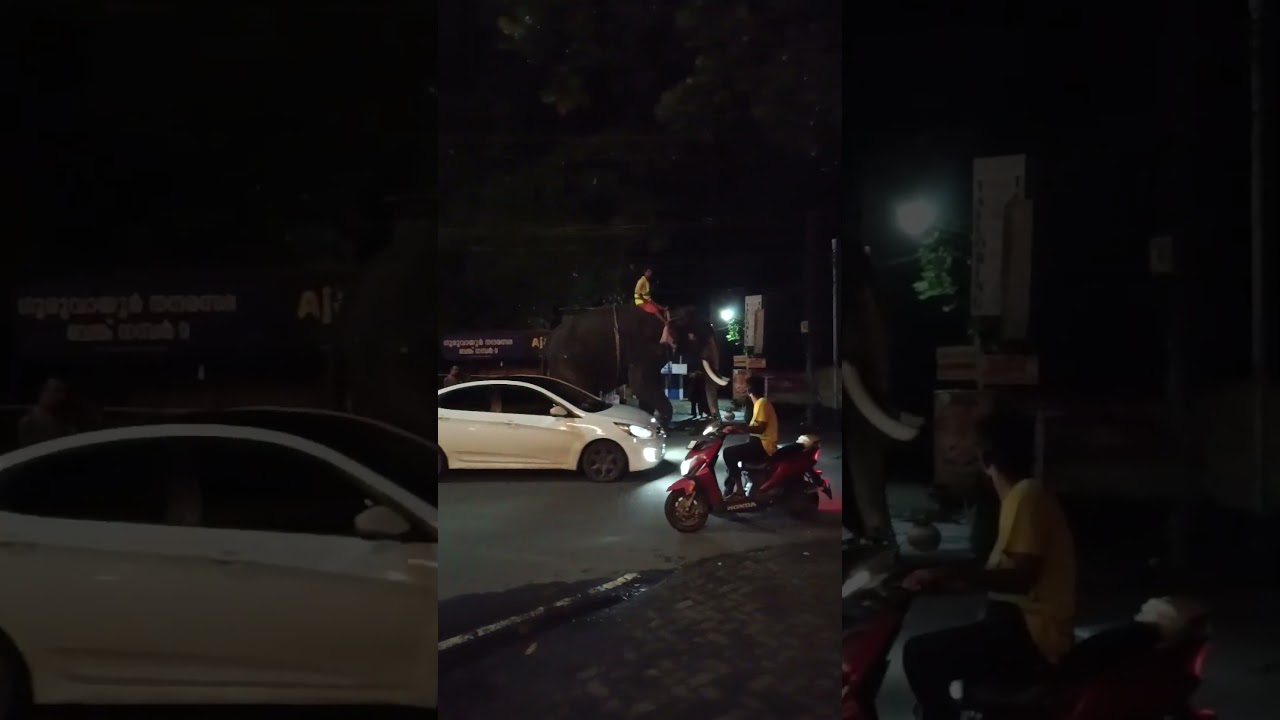 നോക്കണ്ടടാ ഉണ്ണി ഇത് ഞാനല്ല 😱😱😱 #shortsfeed #viral #shorts #subscribe #shortsviral