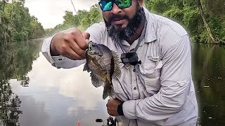 HOW TO CATCH BIG BREAM (BLUEGILL) THE EASY WAY!!