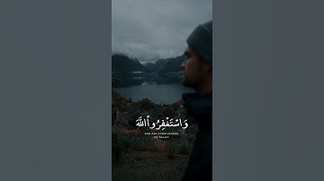 قران كريم بصوت شريف مصطفى 🧡🌿 حالات واتس اب دينية مقاطع استقرام