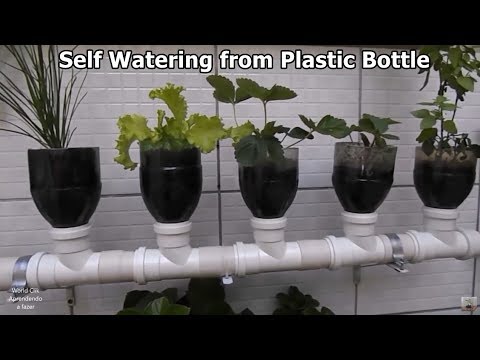 Plastic Bottle And Pvc Pipe, How To Make A Vertical Garden With Pvc Pipe