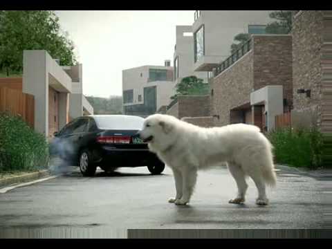 LIG 남편 kimmyungmin CF