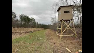 Building a 6ft X 6ft deer shooting house