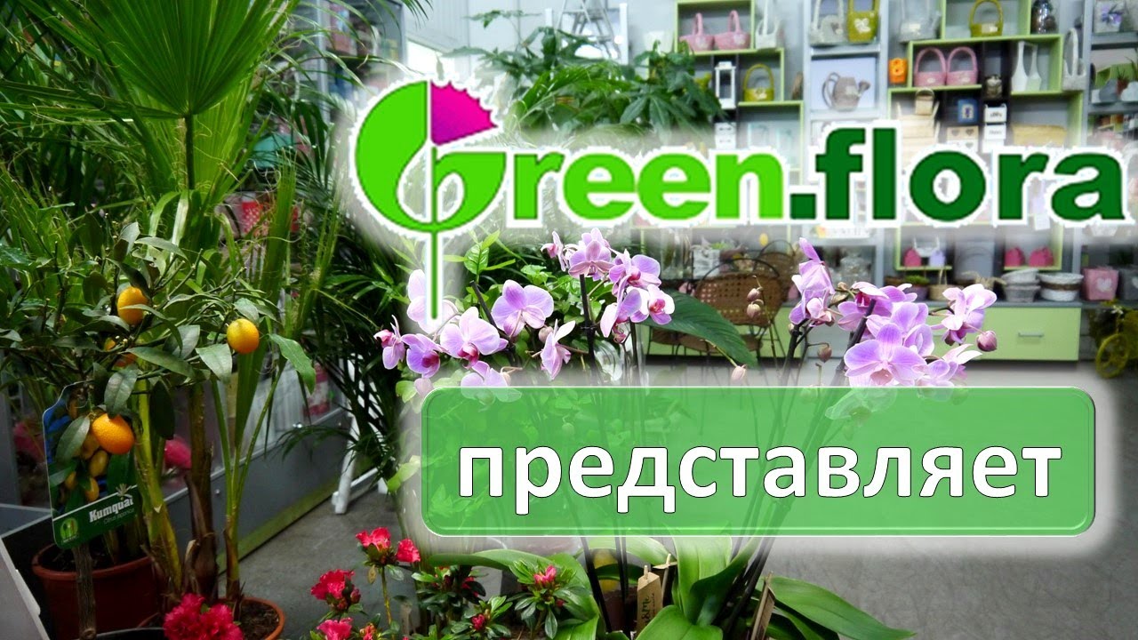 Магазин Цветы Грин