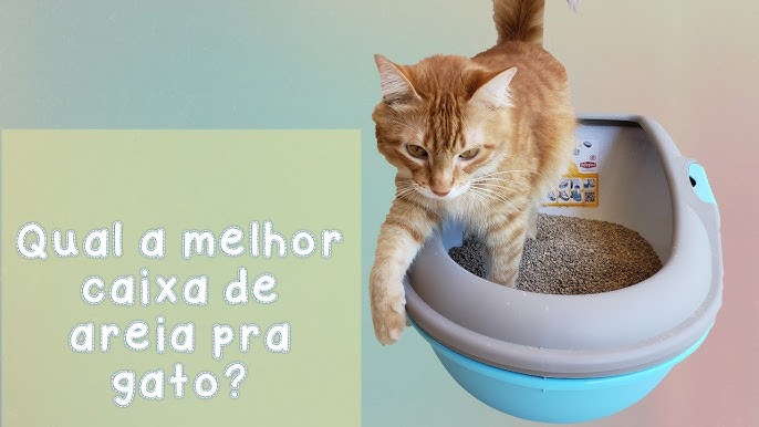 CAIXONA DE AREIA PET GAMES - Mundo Catnip