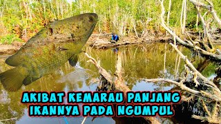 The Long Drought Causes Fish to Cluster❗ Making Them Easy to Catch