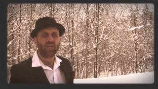 Video thumbnail of "Franz Nicolay - The Hearts Of Boston"