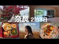 【奈良旅行】紫翠ホテル | 11月紅葉🍁| 奈良京都 | 夫婦旅行