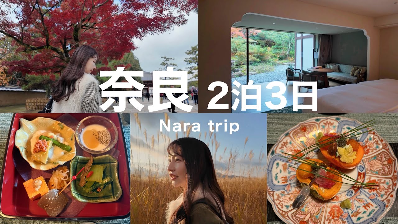 【奈良旅行】紫翠ホテル | 11月紅葉🍁| 奈良京都 | 夫婦旅行 