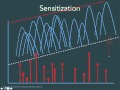 Sevenslideseries sensitization and tolerance