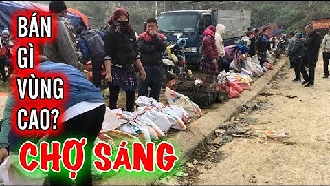 KHU VỰC CHỢ GIA SÚC TÂY BẮC - CHỢ PHIÊN CỐC LY CÓ NHIỀU DÊ , LỢN BẢN VÀ TRÂU ĐẸP