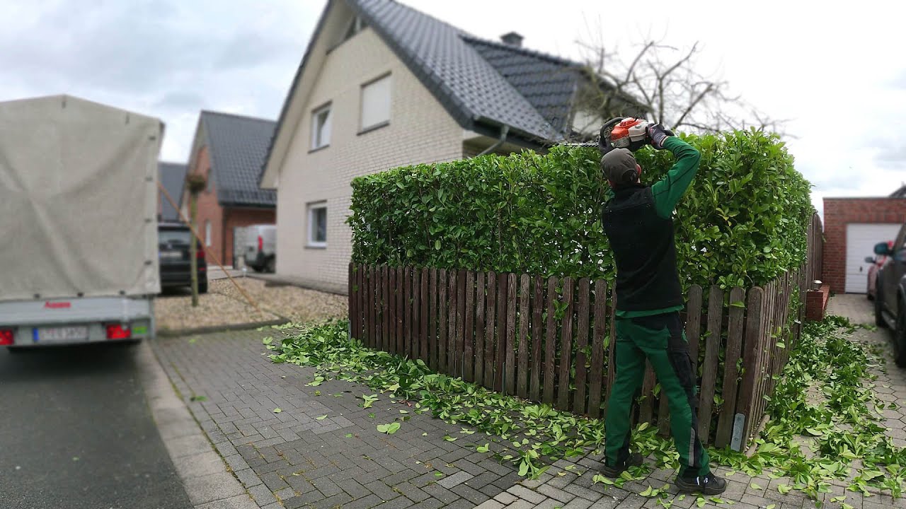 ⁣Kustorez. Laurel Hedge cutting!