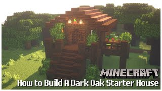 Minecraft | How To Build A Dark Oak Starter House (Easy Build Tutorial)