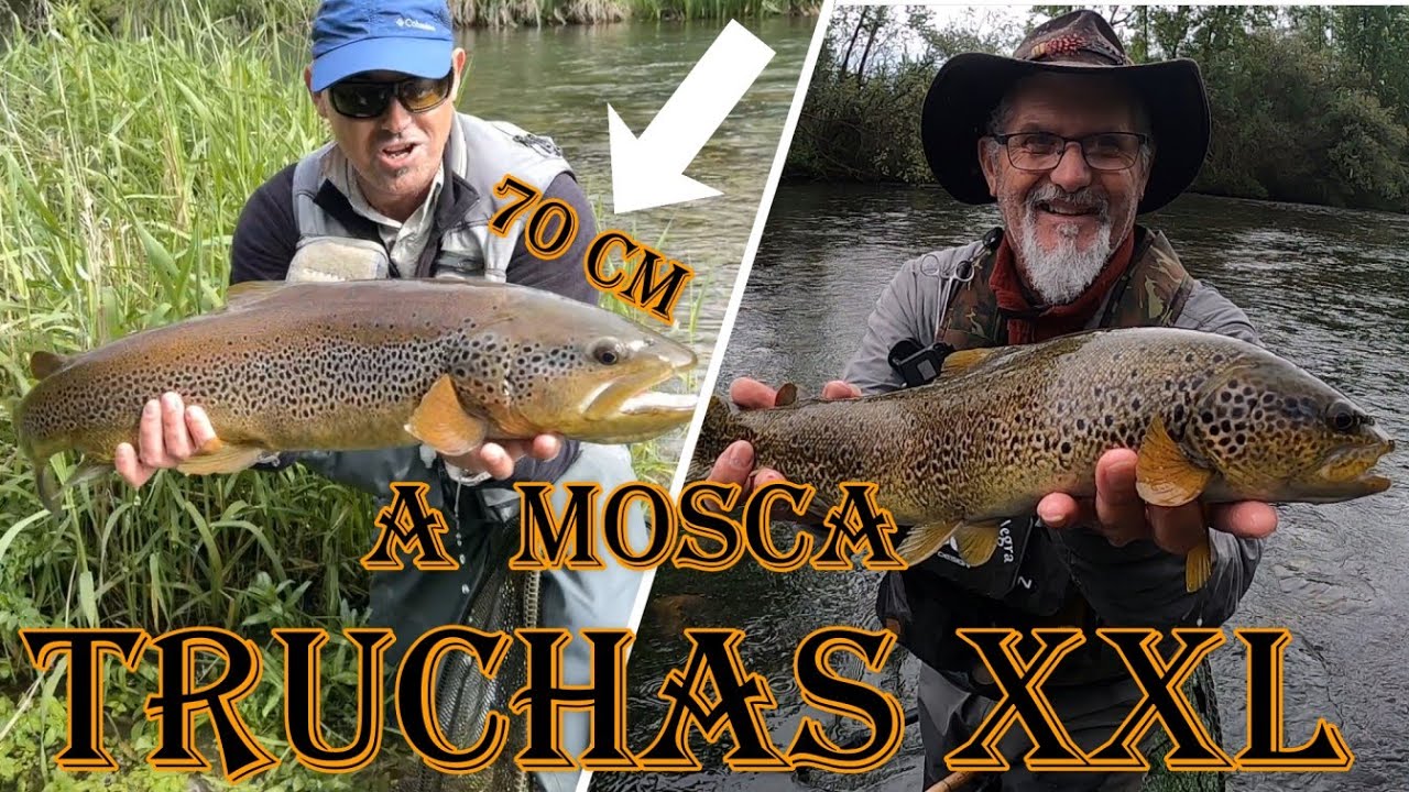 ESPECTACULAR JORNADA DE TRUCHAS XXL A MOSCA