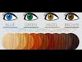 Best Hair Color for Green Eyes | How To Choose The Right Hair Color -  WhynotReviews