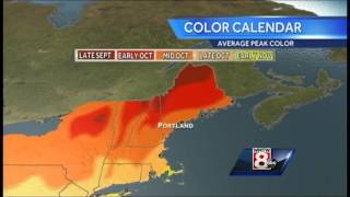 Maine's Fall Foliage Report
