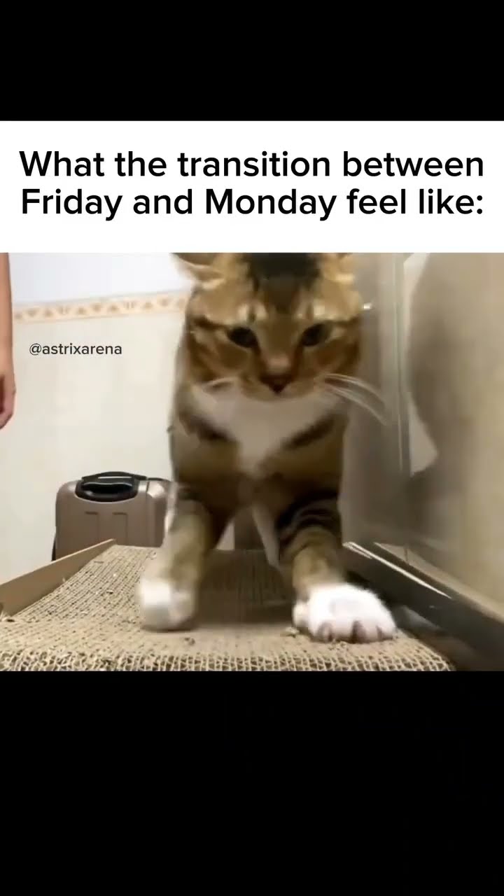 What the transition from Friday to Monday feel like