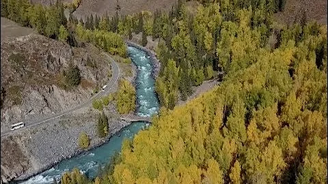 Autumn Scenery of Kanas Scenic Area Wows Tourists - DayDayNews