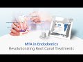 Role of mta in endodontics dental dentalkart waldentmta endolifemta