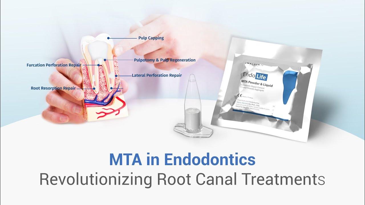 Role of mta in endodontics dental dentalkart waldentmta endolifemta